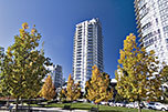 ICON 1: 2001 - 638 Beach Crescent